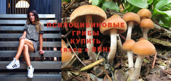 прущая мука Беломорск