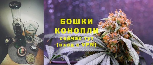 прущие крисы Белокуриха
