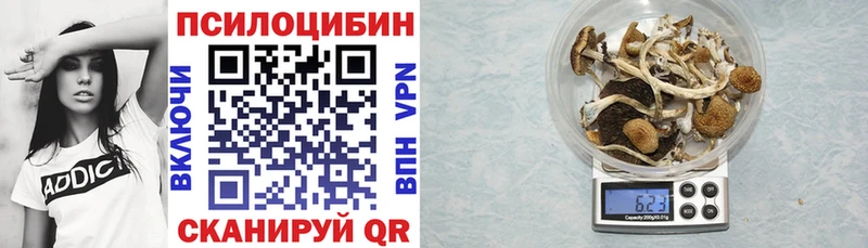 Купить  Верещагино  Галлюциногенные грибы Psilocybe 